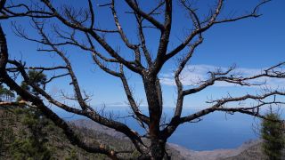 2022-03-GranCan-Mirador_Sargento-Trekking-PM-NN-63.JPG